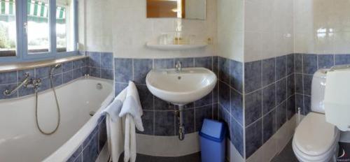 Hotel Aux Massotais Petites Tailles Cameră foto